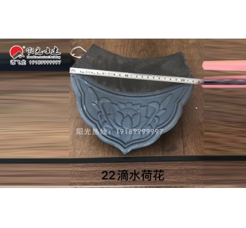 22荷花滴水