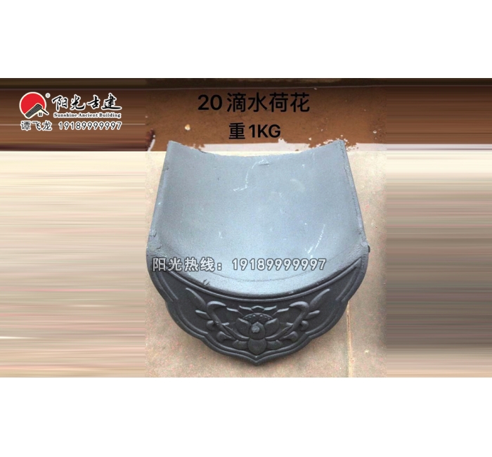 20荷花滴水