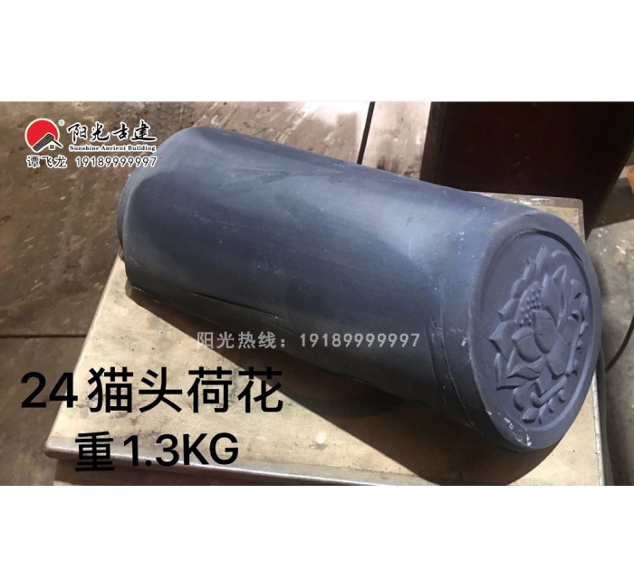 24大猫头-荷花