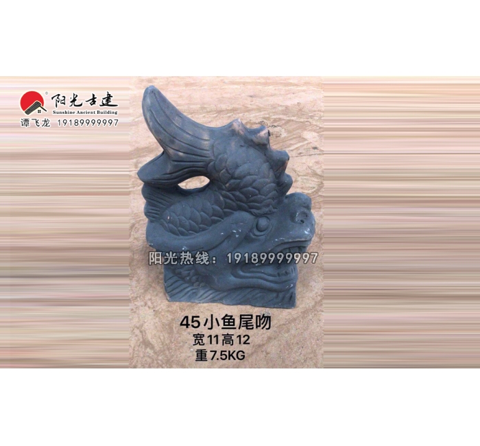 45小鱼尾吻